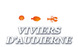 Viviers d'Audierne