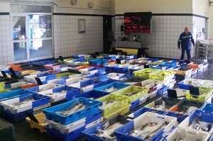 Achats de Poissons en criée